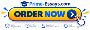 order essay now order essay now